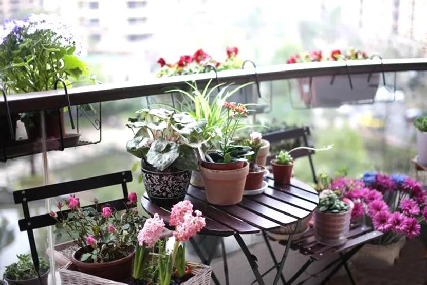 施肥手法,施肥技术和方法