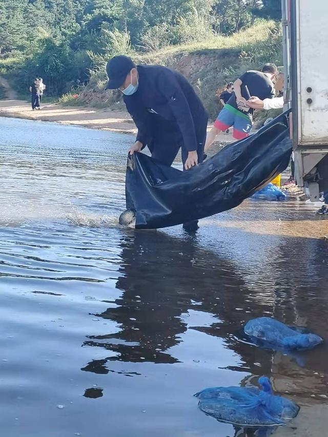 浙江台州河里钓鱼,浙江台州椒江区钓友