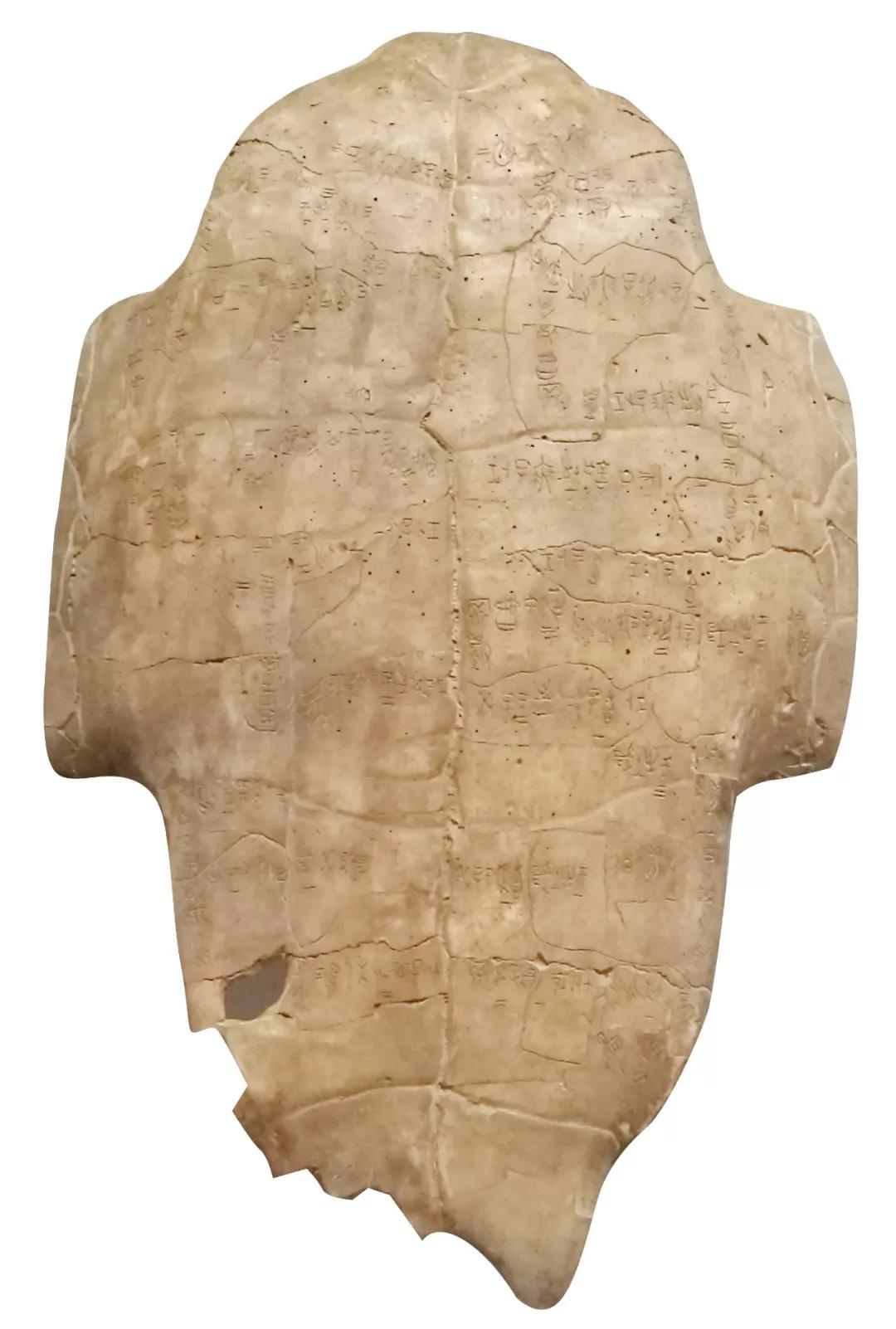 甲骨文书法图片大全,甲骨文书法图片高清