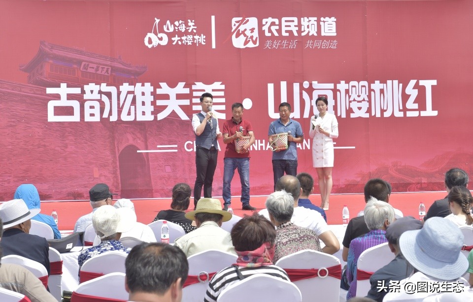 山海关:一沟大樱桃换来半坡别墅