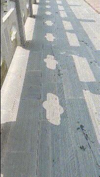 喜欢很久的小哥哥,喜欢了很久的小哥哥