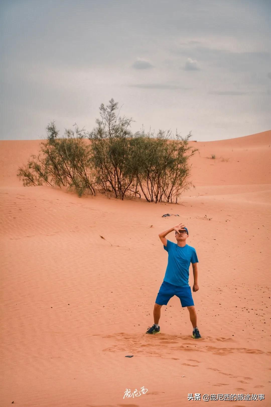 宁夏最值得去的景区,宁夏值不值得去的地方