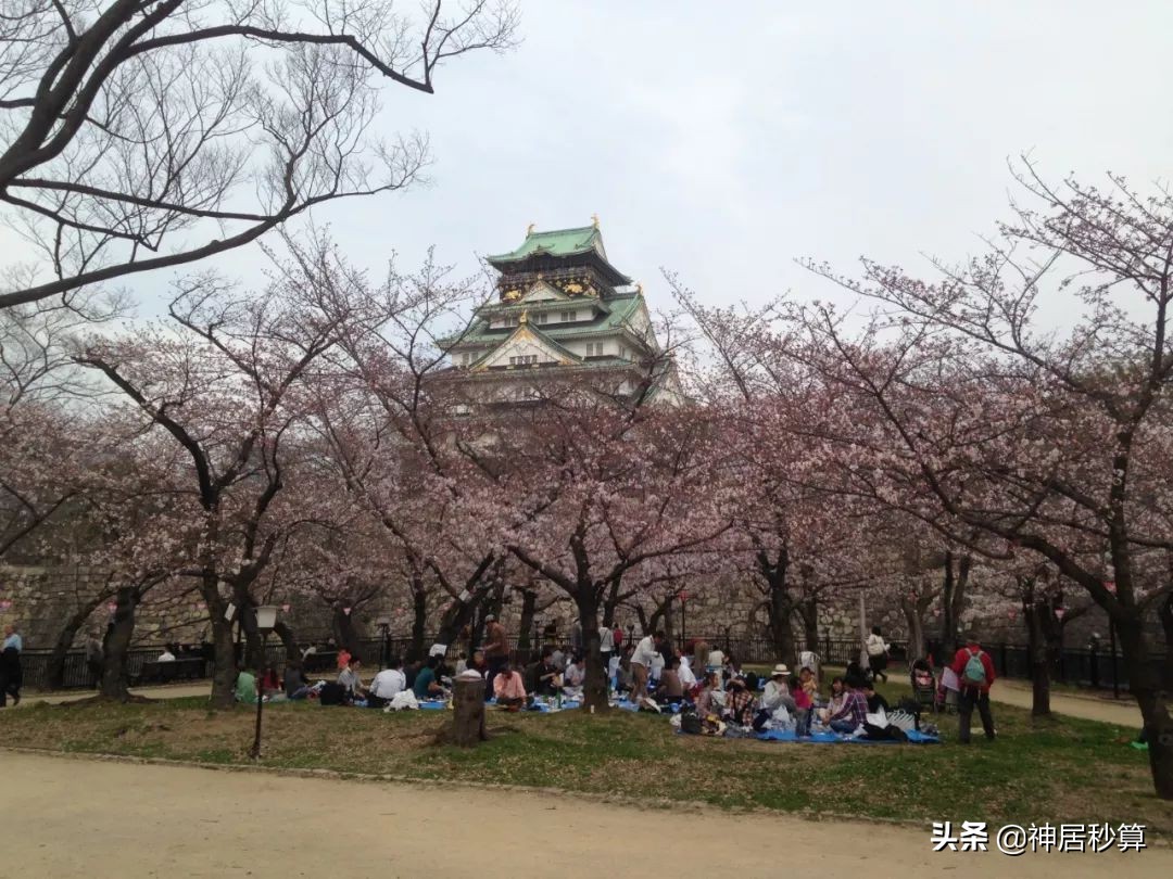 我凌乱了,日本大阪目前的情况怎样