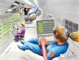 假如被困荒岛吃什么,假如你被困荒岛只能带三样东西