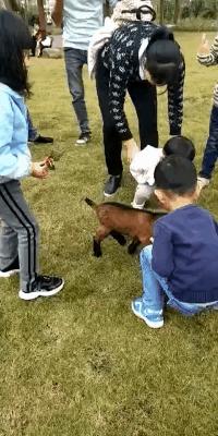 全家人一起欢欢喜喜过大年,所有人一起跨年狂欢