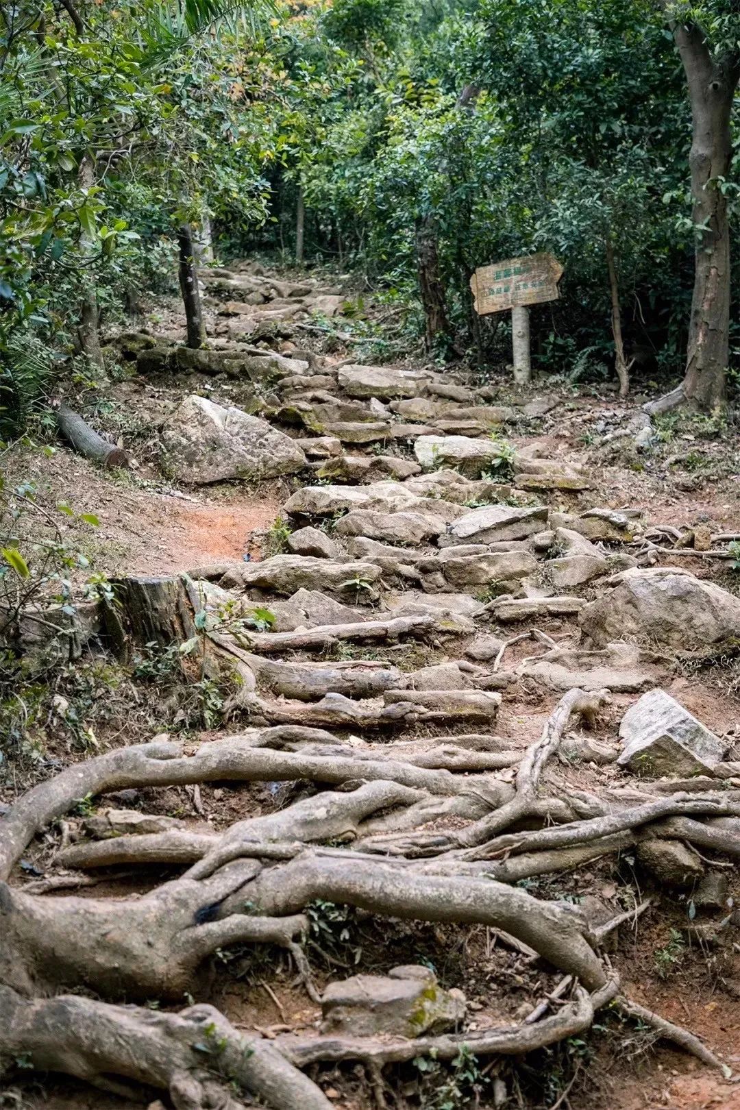 深圳值得打卡的建筑物,深圳最值得打卡的山