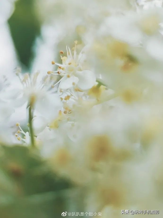 小米手机拍不了横屏照片,小米手机拍不出原有颜色