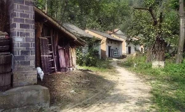 陕西蓝田山沟沟村庄,我的老家在蓝田