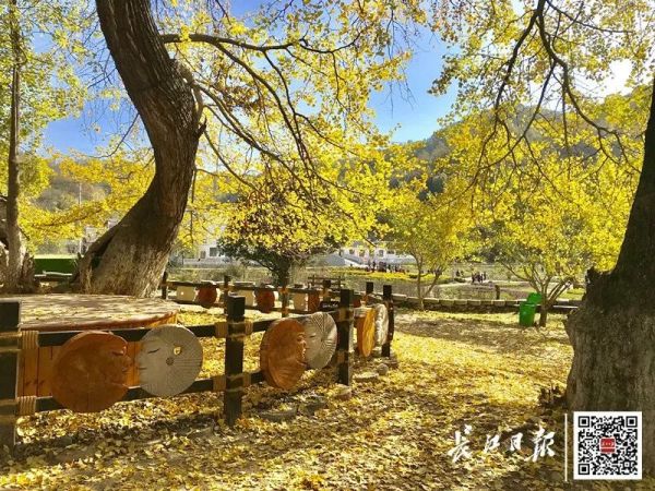 汉十高铁各段票价,汉十高铁通车票价多少