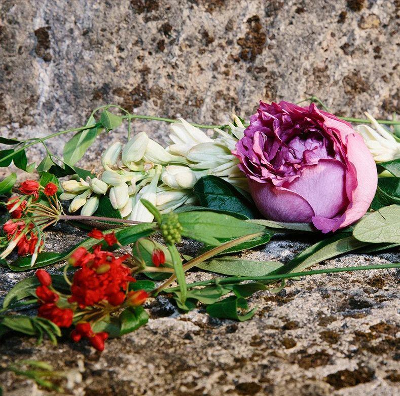 Gucci5款最受欢迎的香水，你买过其中哪一款？