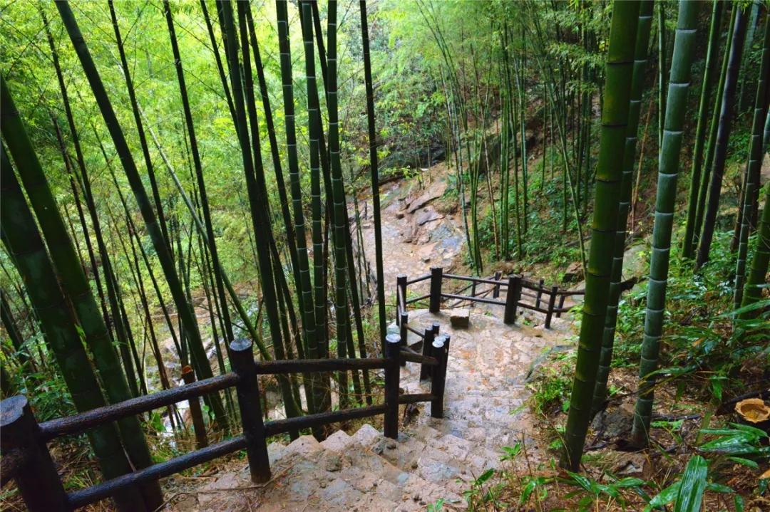 热҈热҈热҈热҈热҈！余杭超“清凉”景点集合