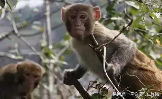 造人全过程，别不好意思看