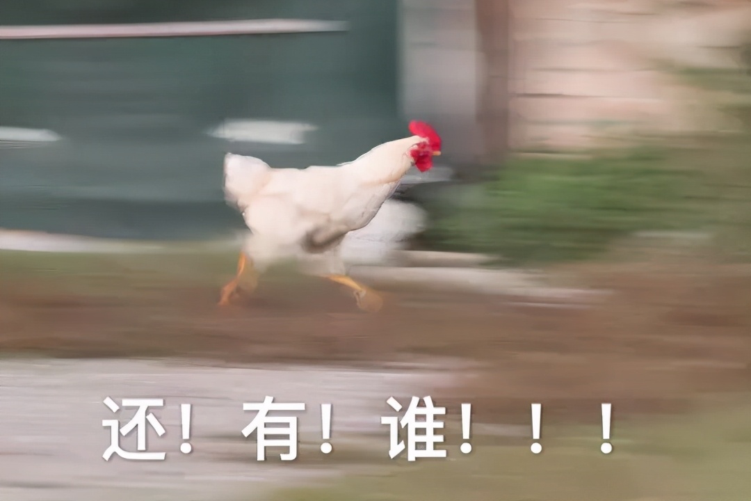 那些年留学生在海关被没收的东西,留学生被海关没收的东西