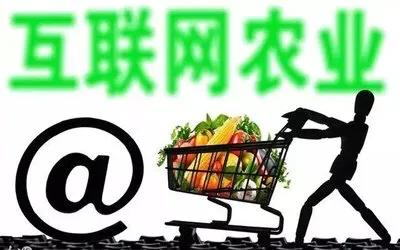 如何打造土特产品品牌名称,怎么打造当地特产产品品牌