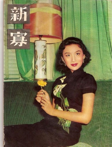 绝代佳人夏梦小说,绝代佳人夏梦简介