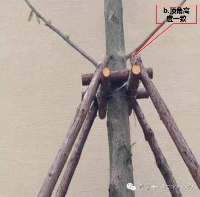 园林景观交付前十三道评估项,园林交付评估细节有哪些