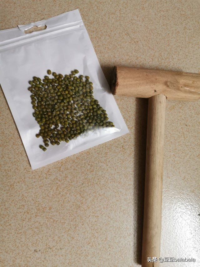 小仓鼠病好了什么症状,小仓鼠豆豆