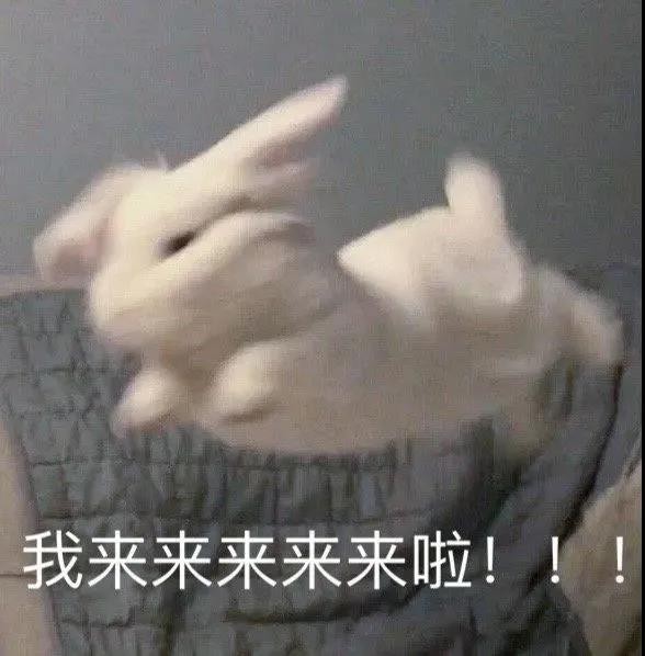 选对纸尿裤告别红屁屁,纸尿裤避坑指南来啦