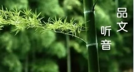 中国诗歌周刊新诗美韵第199期,中国诗歌周刊七十八期