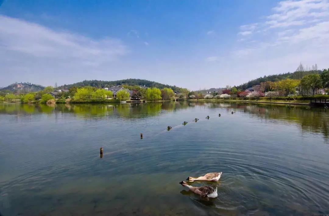 绿城桃花源里庭院探秘,绿城第10座桃花源