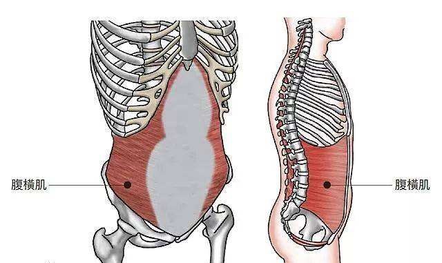 产后多久肚子可以瘦下去,产后运动瘦肚子最快最有效