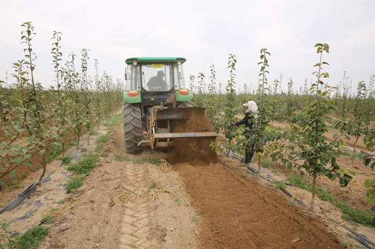 果树接枝生根的营养肥怎样配制,果树嫁接愈合剂能促进成活率吗