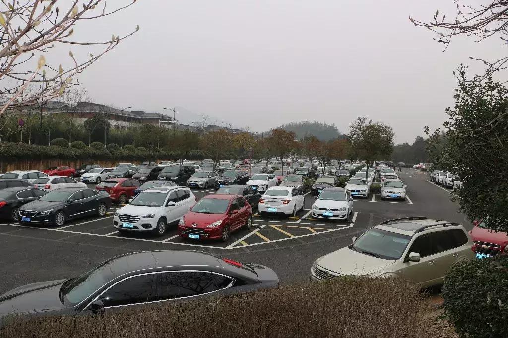 今天,我在宜兴竹海,过传统春节,沾福气满满!