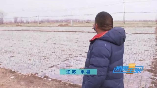 今日全国洋葱最新价格行情新闻,进口洋葱价格表