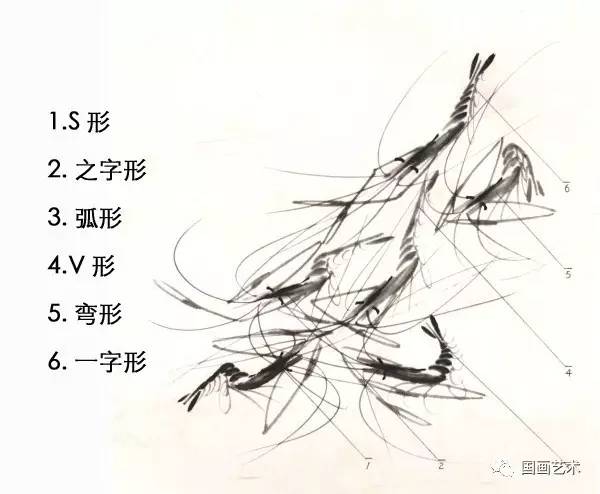 国画用胶矾水画虾技法,娄师白画虾技法视频
