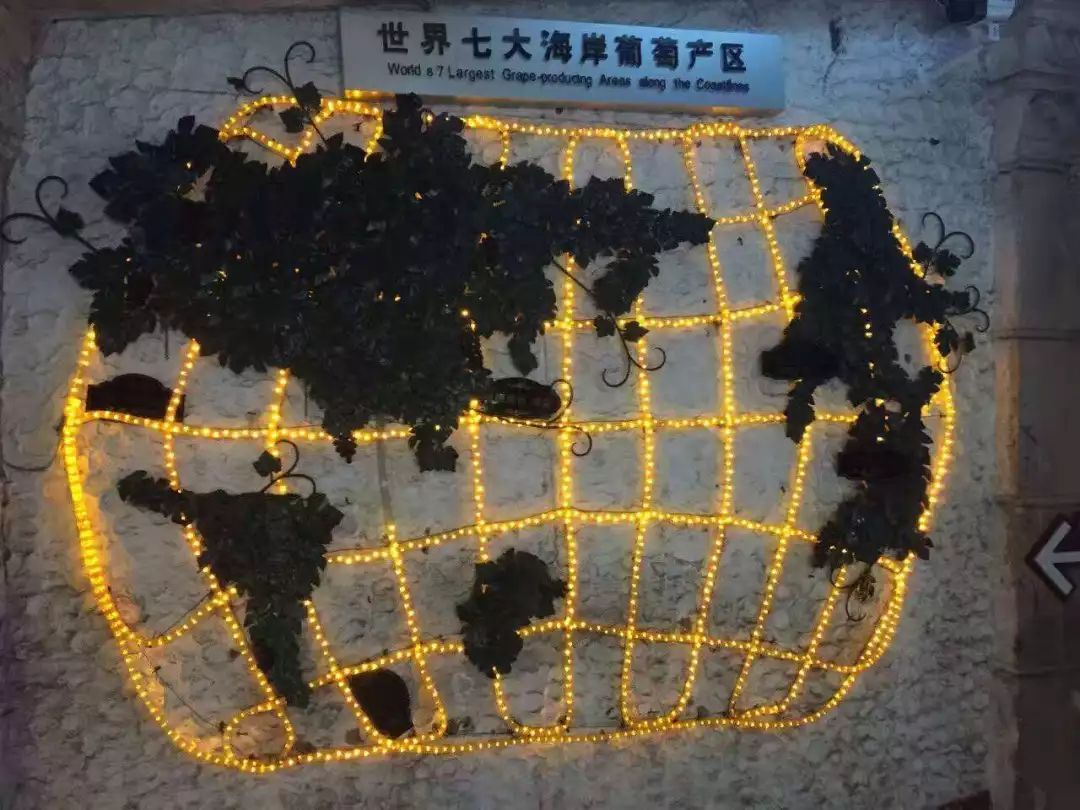 波尔多葡萄酒博物馆特点,了解葡萄酒用什么软件