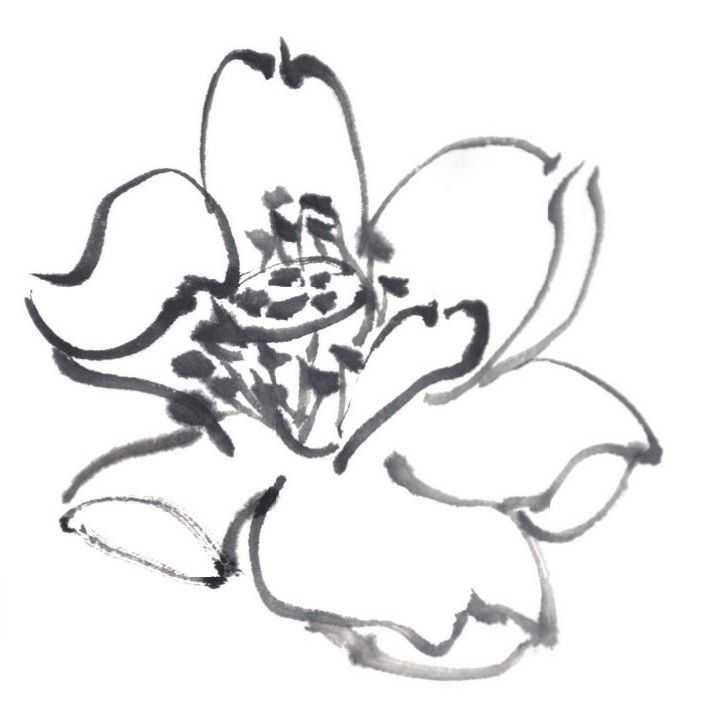 国画刘存惠荷花画法全视频,国画山水画教学视频荷花画法