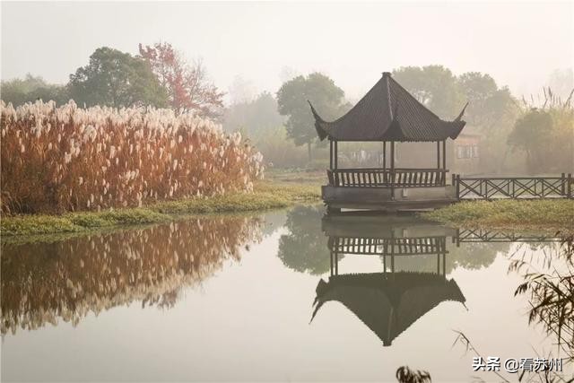 一入秋苏州怎就美成了姑苏,一入秋南京就成了金陵