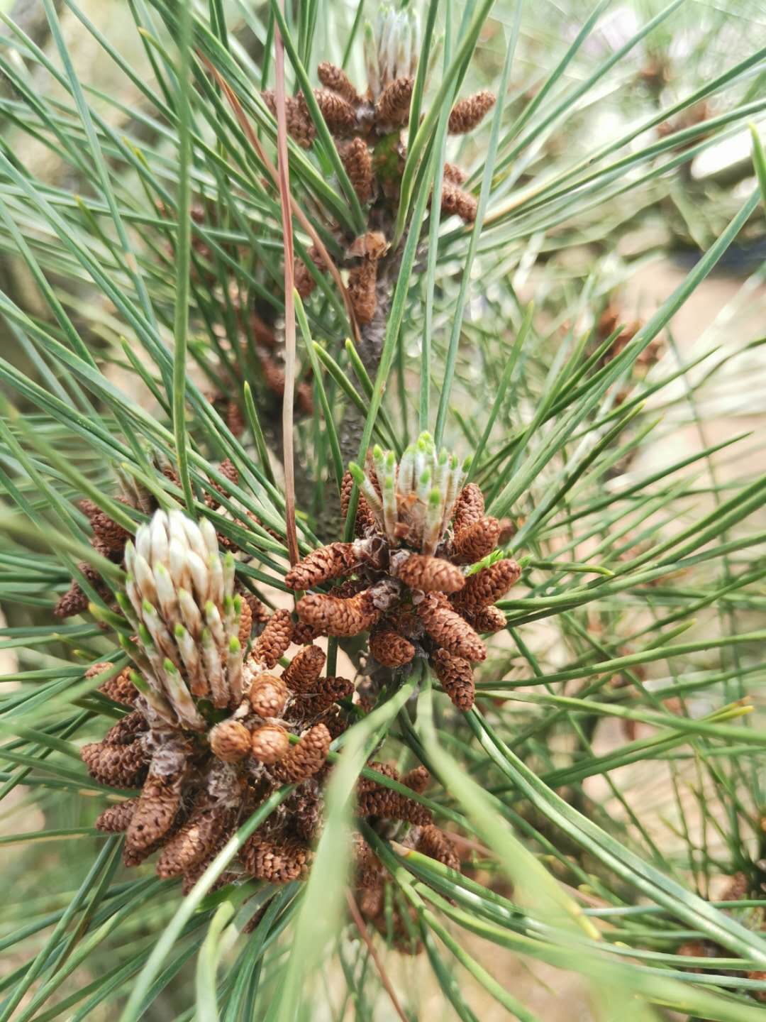 叹为观止自然风景,叹为观止高清图