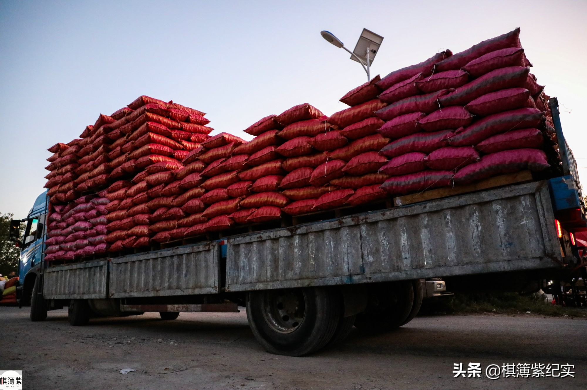 百元钞票每天要数一万张！想扫码？不行，卖板栗的农民只认现金