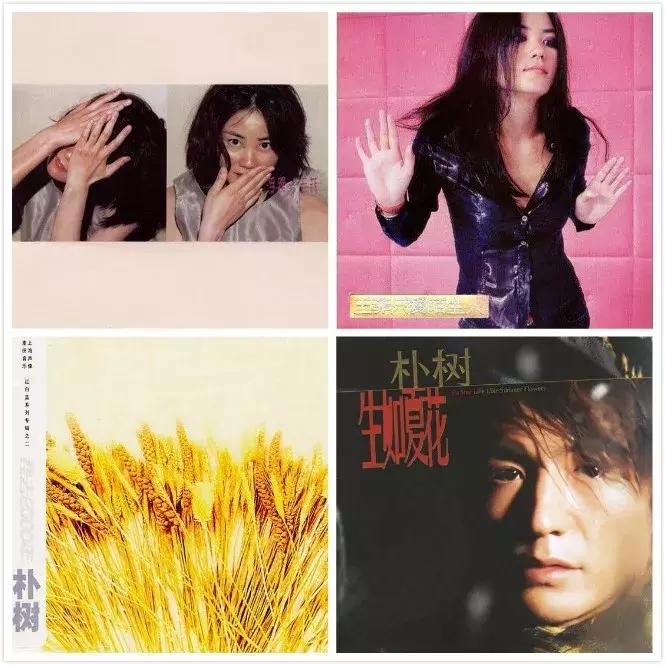 王菲窦唯栾树,王菲窦唯那英