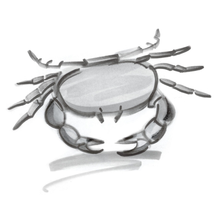 12鏄熷骇鐢风敓鏆楁亱浣犵殑琛ㄧ幇,12鏄熷骇鐢风敓鏆楁亱浣犵殑寰佸厗