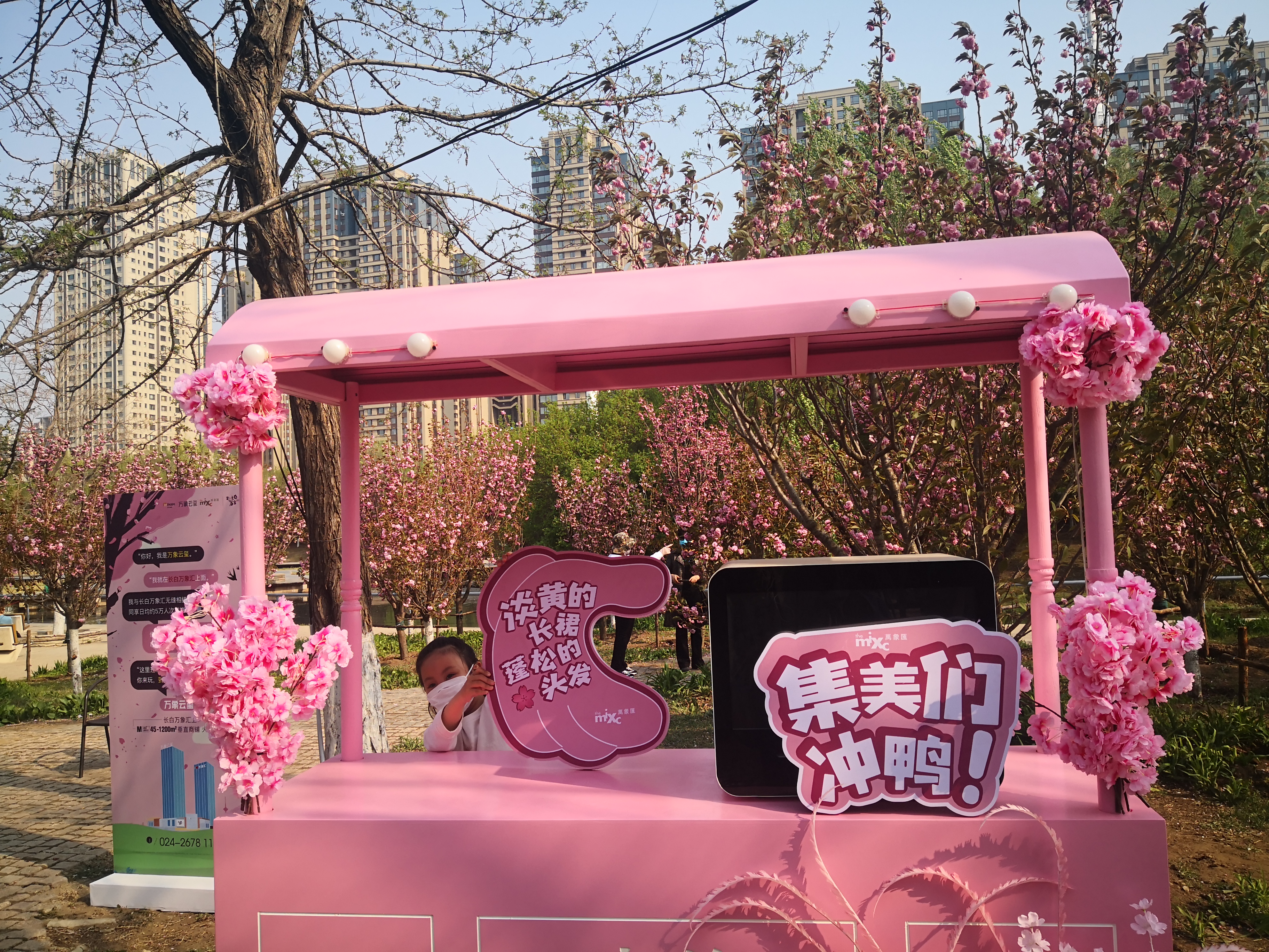 沈阳和平区樱花,沈阳和平区看樱花