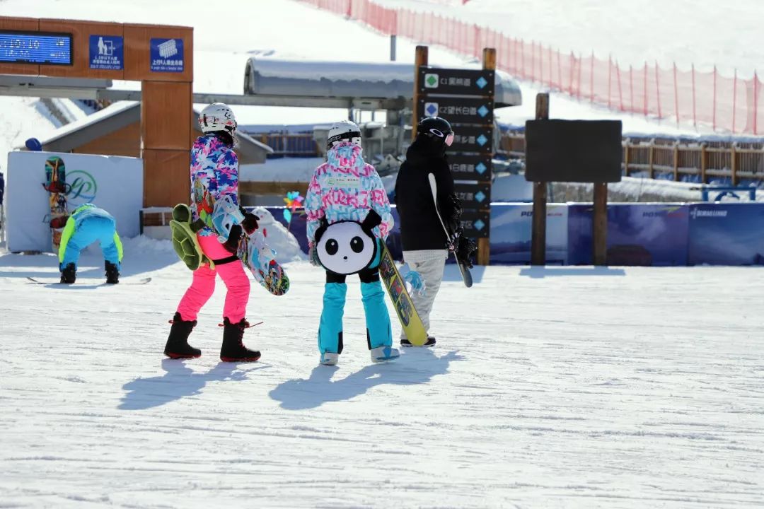 滑雪亲子训练营,冰雪亲子营
