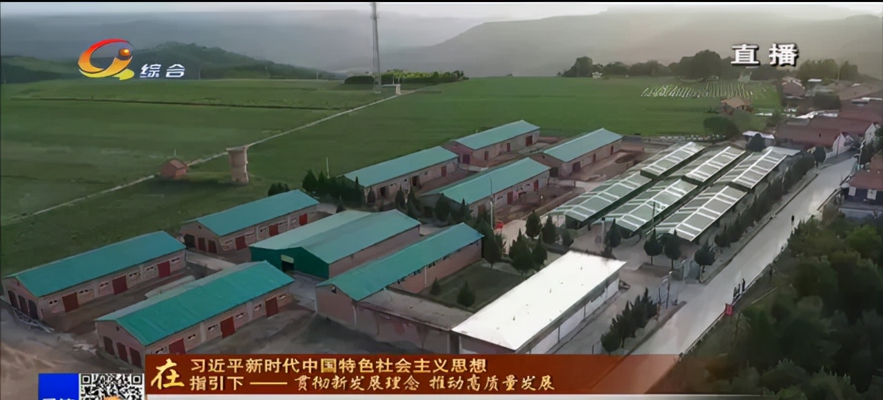 你好庆阳,庆阳新闻2021年7月