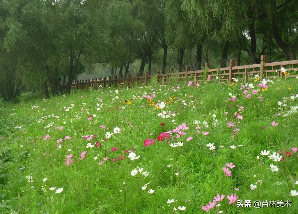 「创意水粉教案」公园里的一抹绿