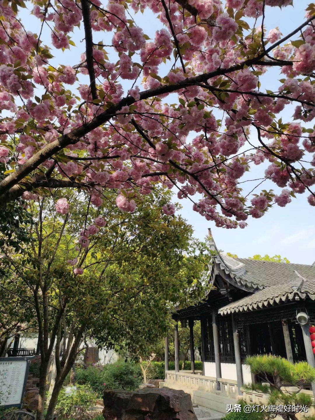 木渎古镇的园林值得一看吗,参观木渎古镇江南园林庭院