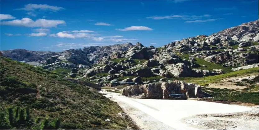 净土天峻高原牧场图片,净土天峻