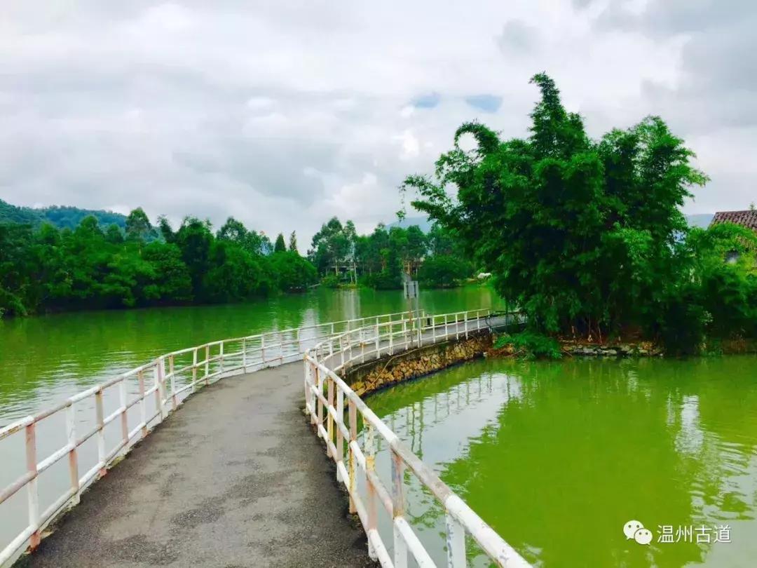 平阳鸣山古村落图片,千年古村平阳县鸣山村古城夜景
