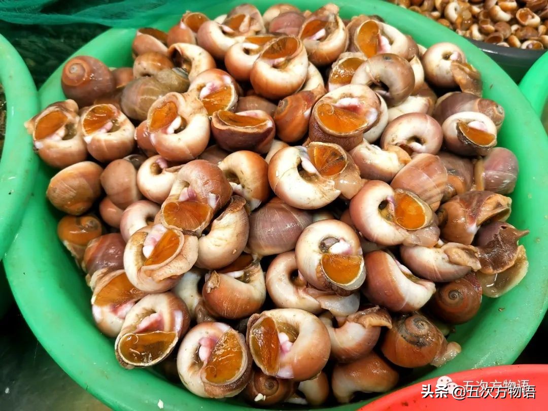 青岛海鲜市场价格表今日,青岛哪个农贸市场海鲜最便宜又好