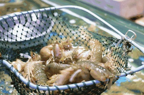 在海南岛最霸气的渔港码头,海南十大渔港码头