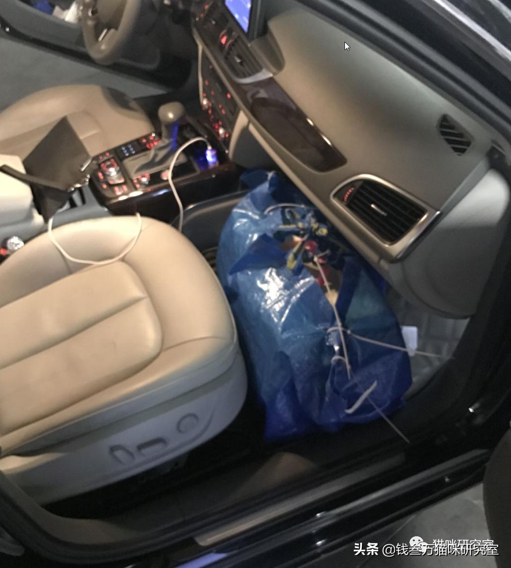 给大家介绍宠物托运的全过程,找托运宠物公司托运宠物注意什么