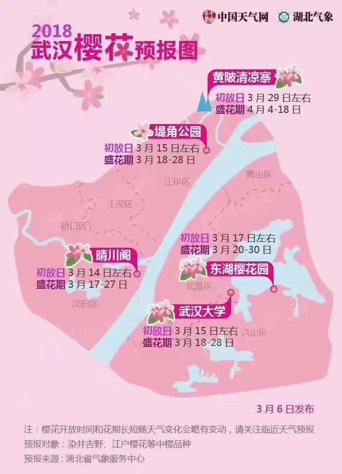 “我还没见过有那个城市的春天，能比武汉还美！”