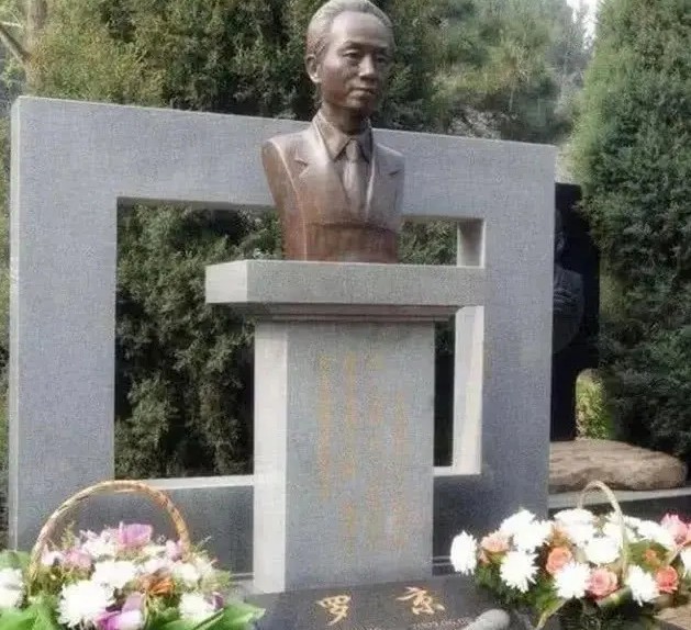 48岁罗京的妻子去世,罗京去世七年后妻子改嫁富商