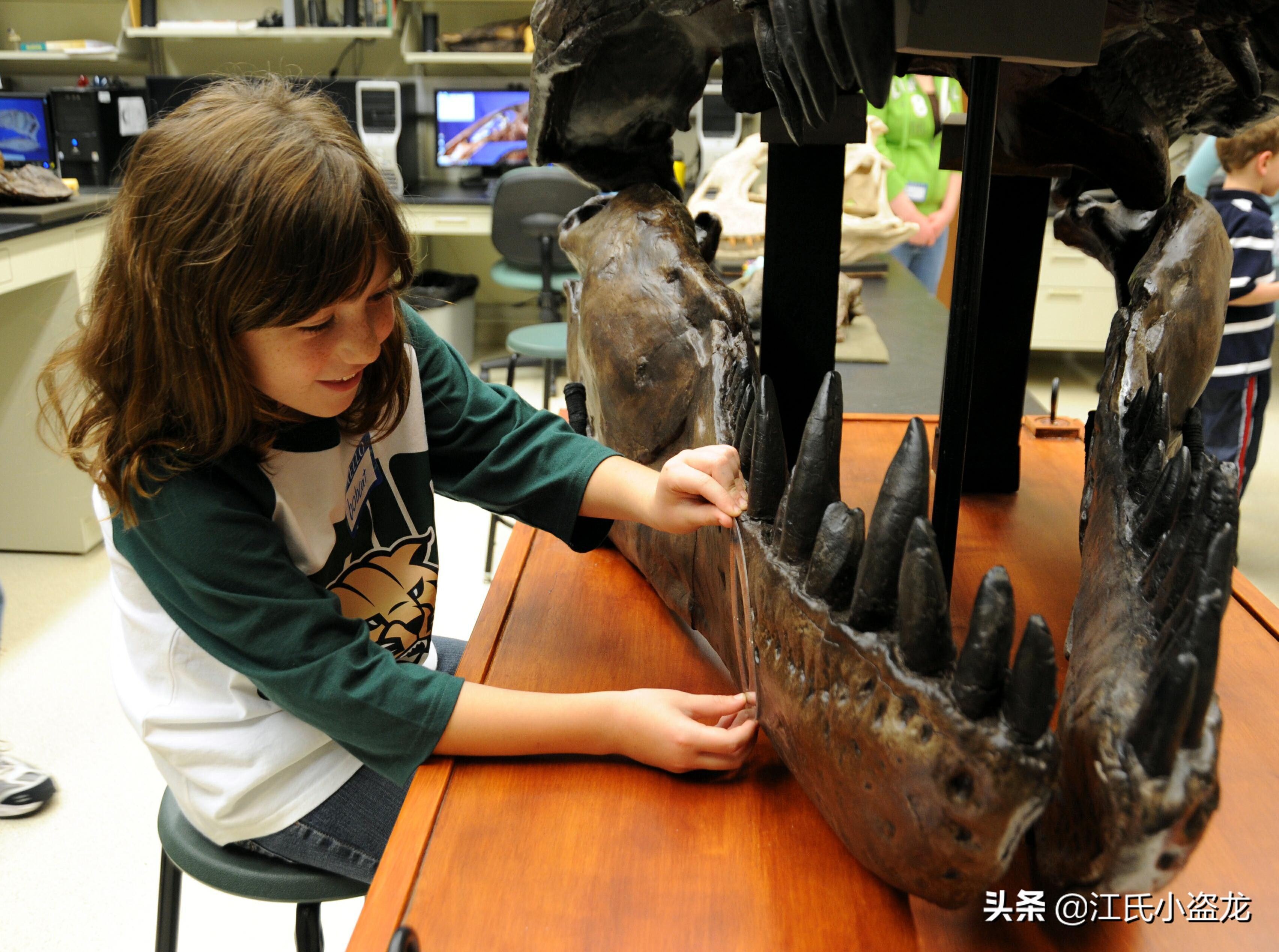 霸王龙的一生,霸王龙最关键的两个阶段