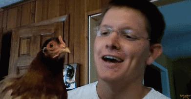 陀螺仪原理是什么,陀螺仪的原理